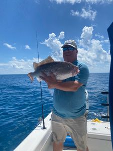 Caught a red grouper fish while fishing at Fort Myers Beach