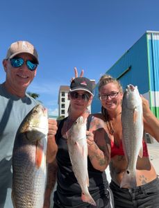 3 redfish caught at Fort Myers Beach