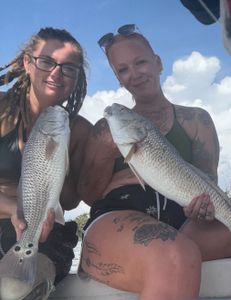 2 redfish, 15 inches, caught in FL