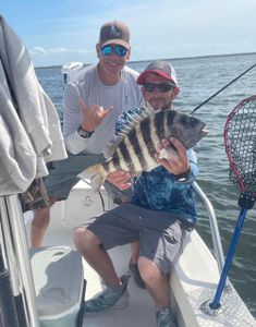 Sheepshead fish caught fishing at Fort Myers Beach