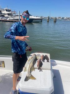 Two snook fishing at Fort Myers Beach