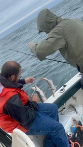 Angler fishing in Biddeford