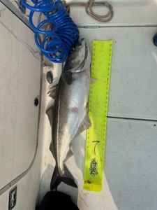 Fishing scene in ME