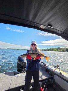 Northern pike fishing catch on boat in Manhattan KS