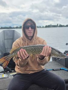 Northern pike catch displayed on fishing boat in Manhattan Kansas
