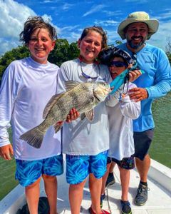 Black Drum fish caught while fishing in Florida