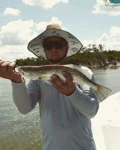 Spotted Weakfish caught while fishing in FL