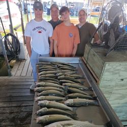 3 striped bass caught while fishing in Pottsboro