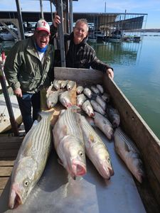 4 striped bass caught during fishing and hunting trip in TX