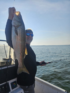 Striped bass caught in Pottsboro