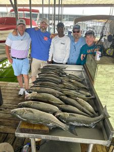 Striped bass fishing in TX
