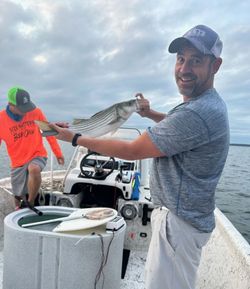 Striped bass caught in Pottsboro