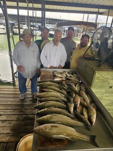 Striped bass caught in TX