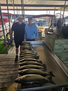 Two striped bass caught fishing in TX
