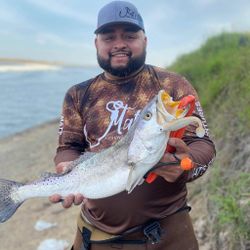 Sea Trout in Corpus Christi, TX