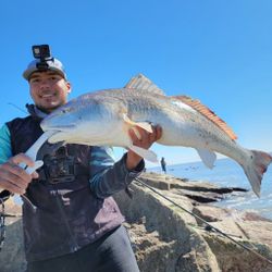 Beautiful Redfish in Corpus Christi, TX