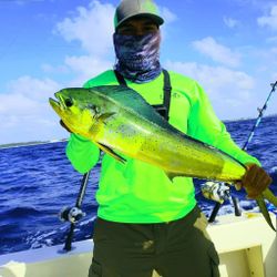 Mahi Mahi in Corpus Christi, TX