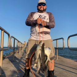 Reeled In Plenty of Fish in Corpus Christi, TX