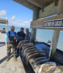 3 anglers with a catch of 1 large fish in Corpus Christi