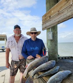 Hooked Plenty of Inshore Species in Texas