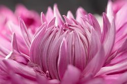 Fishing in the stunning waters of Florida