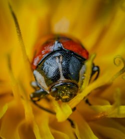 A fishing trip in Florida