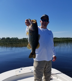 Catching a largemouth bass in FL