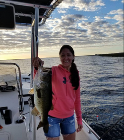 Largemouth Bass caught in FL
