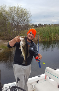 Largemouth Bass caught in Kissimmee