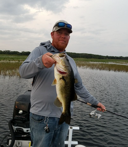 Largemouth Bass fish caught in Kissimmee