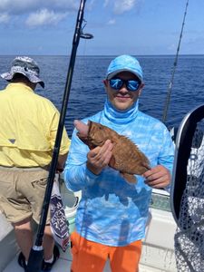 Grouper: Charleston's underwater treasure!