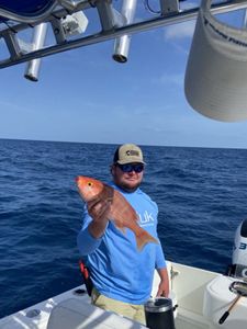 Charleston Coastal Reds