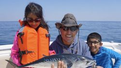 Bonito Fish in Florida