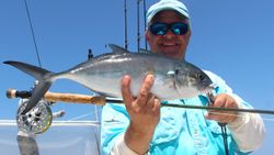 A single blue runner fish caught while fishing in St. Augustine