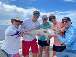 Angler catches a large greater amberjack fish in Florida waters