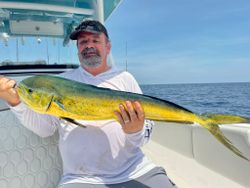 Caught a 35-inch mahi mahi while fishing in St. Augustine
