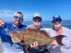 Gag grouper, a large fish caught while fishing in St. Augustine