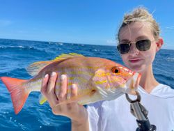 The Thrill of Hooking a Red Snapper Beauty.