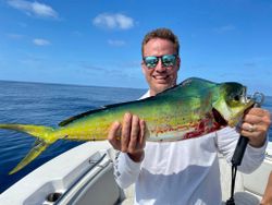 Mahi mahi fishing magic in St. Augustine, FL.