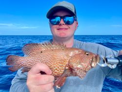 Bold Bites: Red Snapper Adventures.