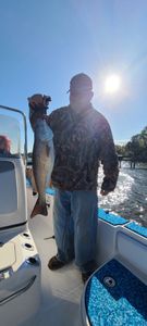 One angler fishing on the shores of Johns Island