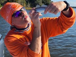 Atlantic Salmon fishing in SC