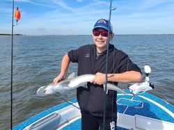 Atlantic Sharpnose Shark, 14-inch fish caught while fishing in Johns Island