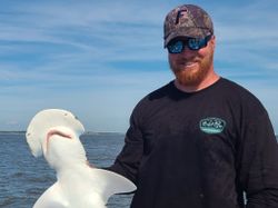 A bonnethead shark, 11 inches long, caught on a fishing tour on Johns Island