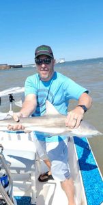 Bonnethead shark caught during fishing tour on Johns Island