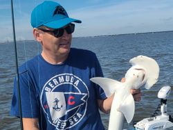A bonnethead shark, a coastal shark species, being fished on Johns Island