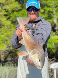1 fisherman reeling in big catch on Johns Island