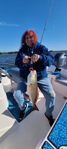 One angler fishing in SC