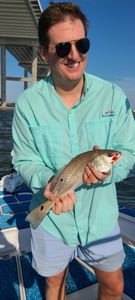 1 angler catching fish in SC