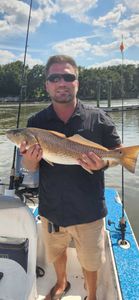 Redfish caught by angler in South Carolina